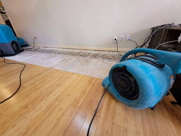 Professional Flood Damage Cleanup technician working in Holly Springs, GA